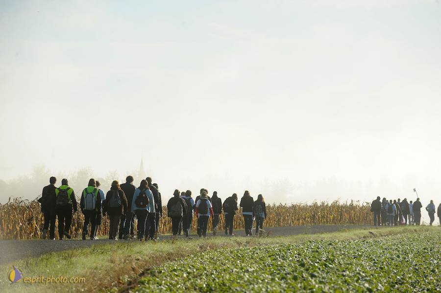 Nom de l'image : D30083037_1_(c)Norbert-JUNG — Description :